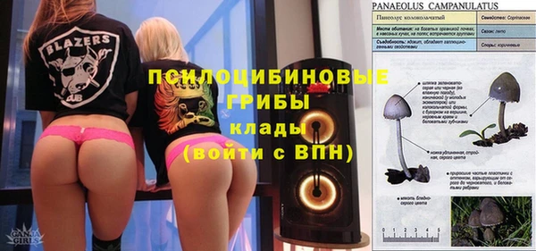 кокс Осташков