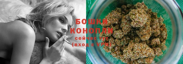 ешки Аркадак