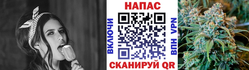Бошки Шишки гибрид  Теберда 